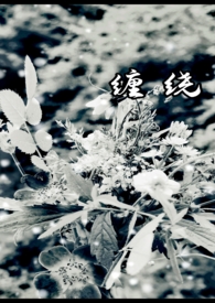 缠绕膜打包机