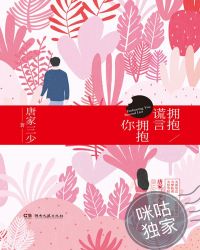拥抱谎言拥抱你第二部小说